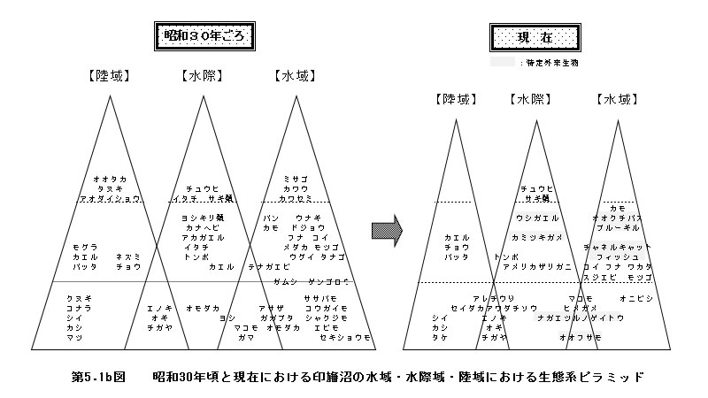 第５章 印旛沼の生態系 沼と流域の状況 公益財団法人 印旛沼環境基金