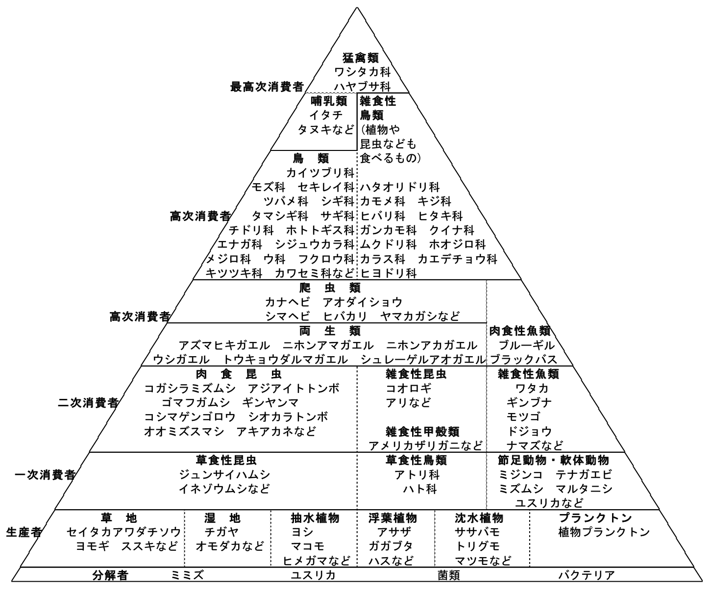 第5.1a図　印旛沼および周辺域を含めた概括的生態系ピラミッド