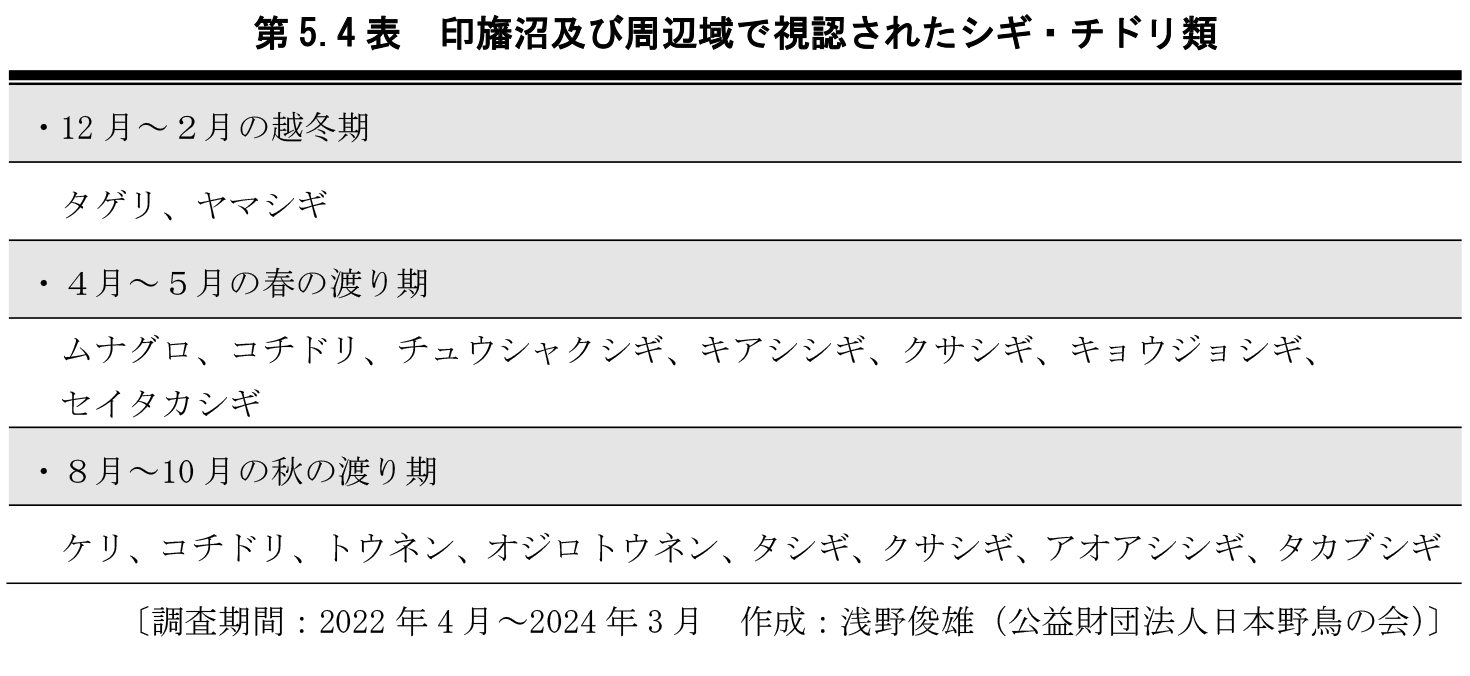 第5.4表　印旛沼及び周辺域で視認されたシギ・チドリ類
